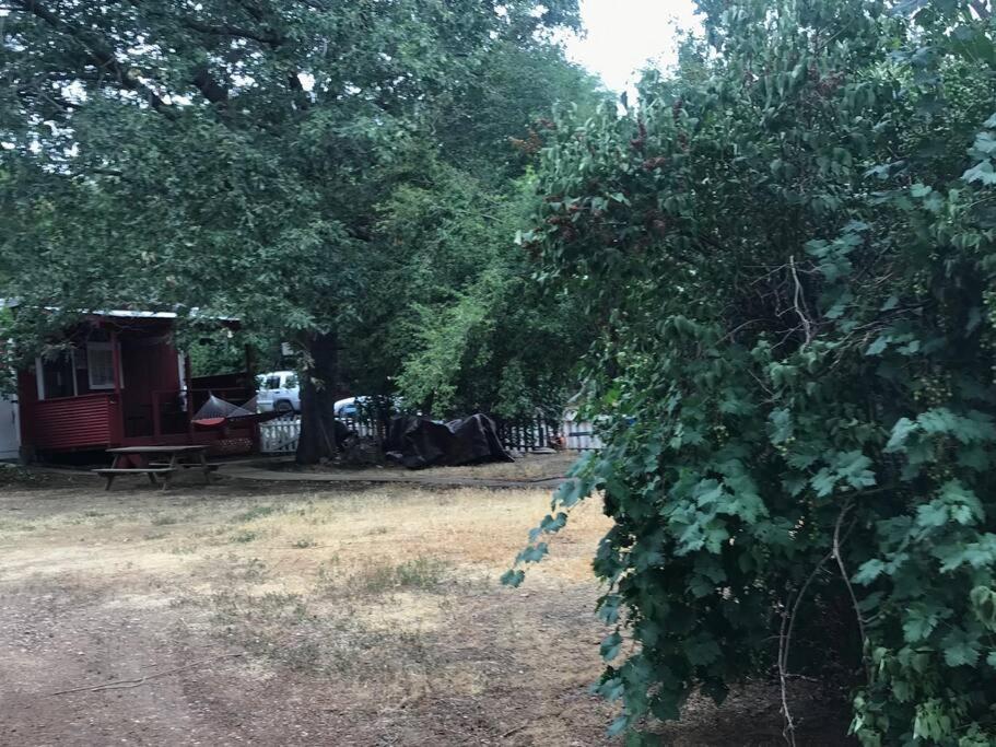 Cozy, Cheerful & Charming Cabin - Historic Julian Exterior photo